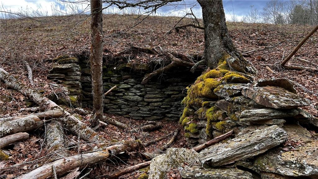 1266 Flatwoods School Road Creston, NC 28615 - Photo 19 of 41