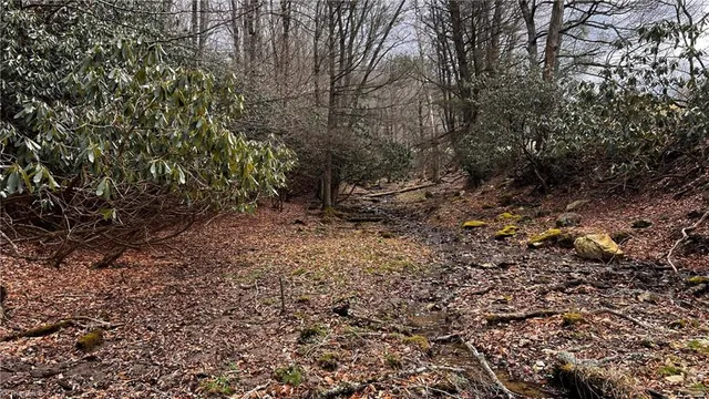 $875,000 | 1266 Flatwoods School Road, Creston, NC 28615