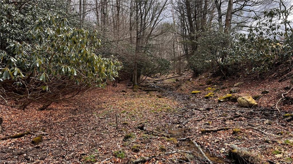 1266 Flatwoods School Road Creston, NC 28615 - Photo 20 of 41