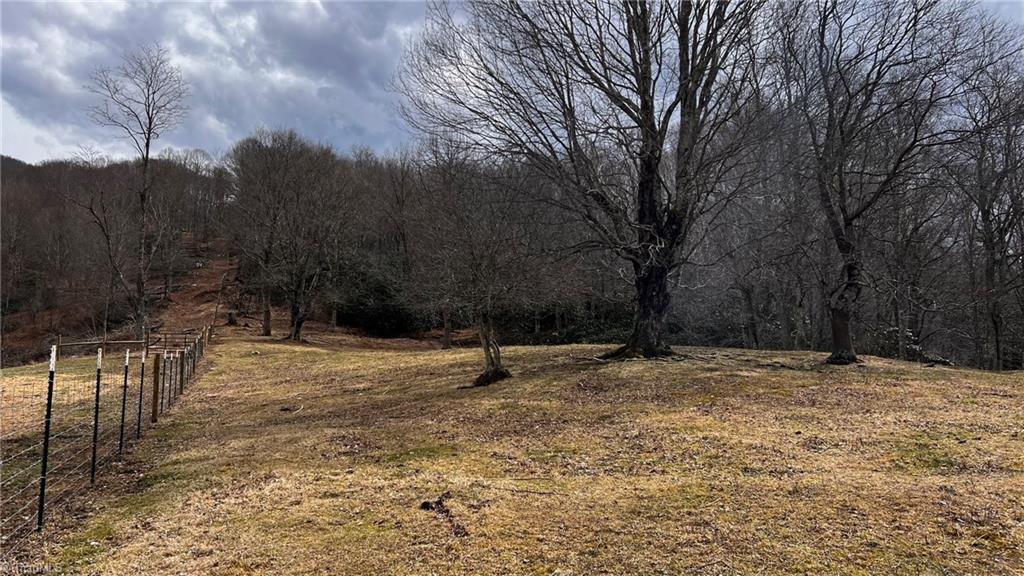 1266 Flatwoods School Road Creston, NC 28615 - Photo 21 of 41