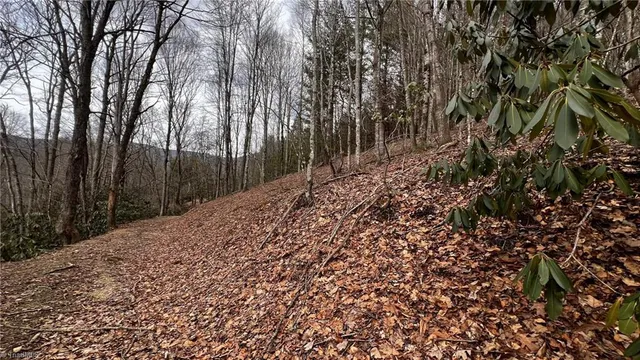 $875,000 | 1266 Flatwoods School Road, Creston, NC 28615