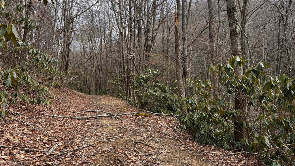 1266 Flatwoods School Road Creston, NC 28615 - Photo 24 of 41
