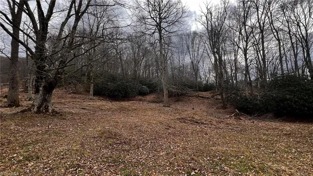 $875,000 | 1266 Flatwoods School Road, Creston, NC 28615