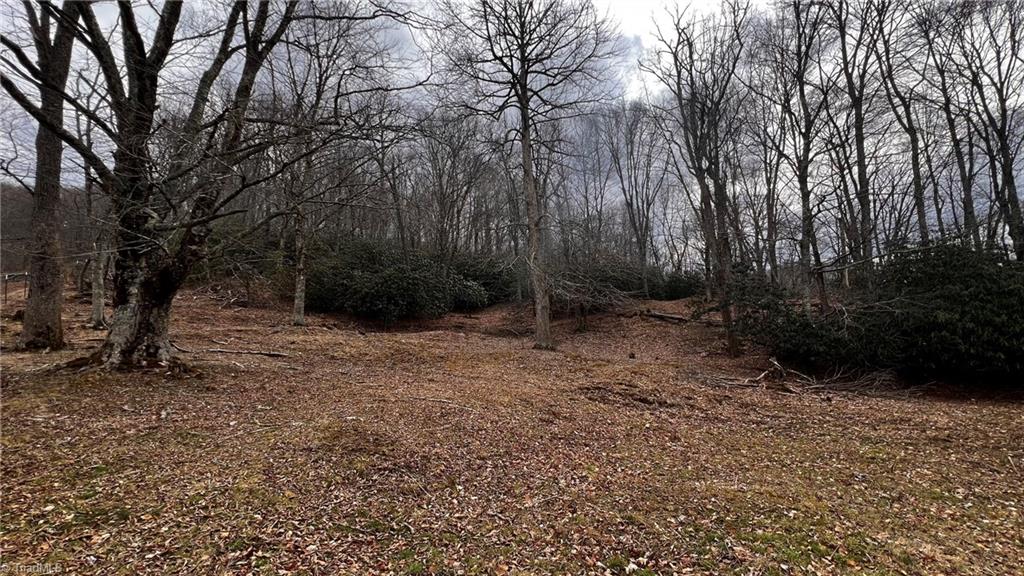 1266 Flatwoods School Road Creston, NC 28615 - Photo 26 of 41