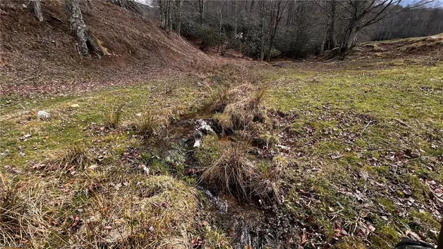 $875,000 | 1266 Flatwoods School Road, Creston, NC 28615