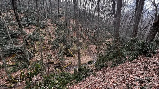 $875,000 | 1266 Flatwoods School Road, Creston, NC 28615