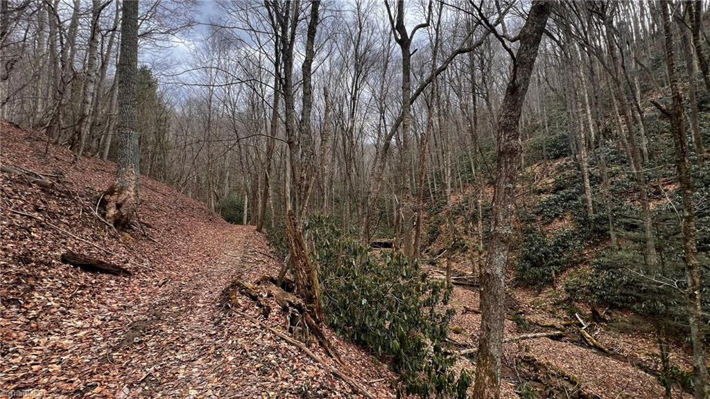 1266 Flatwoods School Road Creston, NC 28615 - Photo 31 of 41