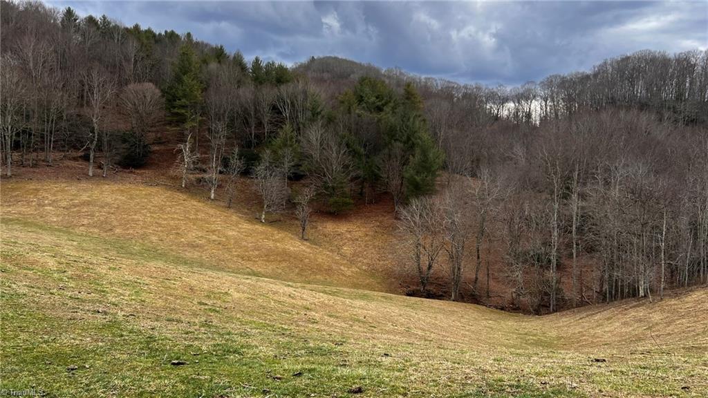 1266 Flatwoods School Road Creston, NC 28615 - Photo 33 of 41