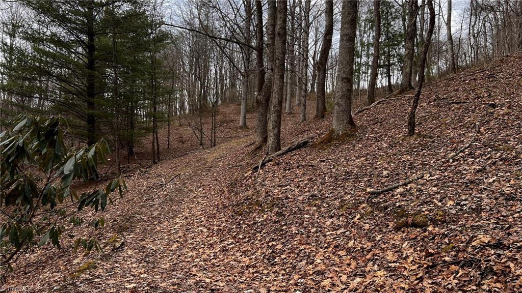 1266 Flatwoods School Road Creston, NC 28615 - Photo 34 of 41