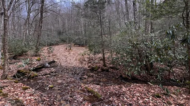 $875,000 | 1266 Flatwoods School Road, Creston, NC 28615