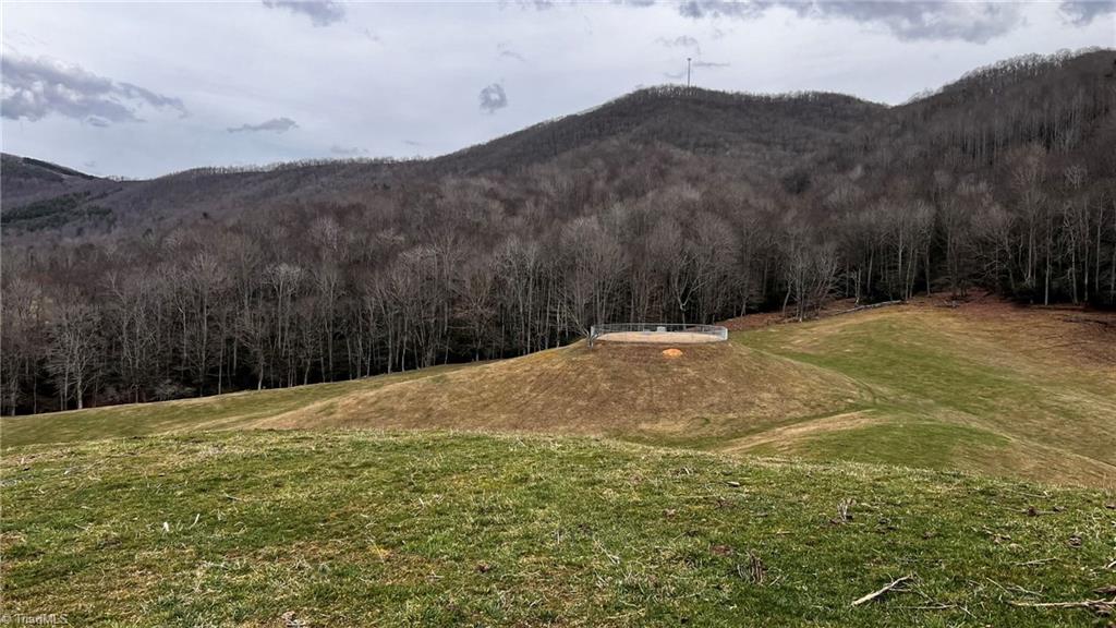 1266 Flatwoods School Road Creston, NC 28615 - Photo 37 of 41