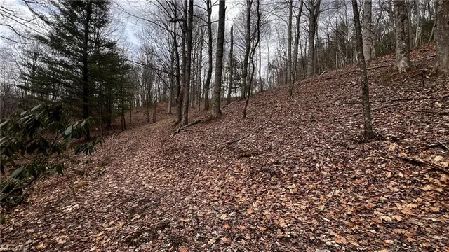 $875,000 | 1266 Flatwoods School Road, Creston, NC 28615