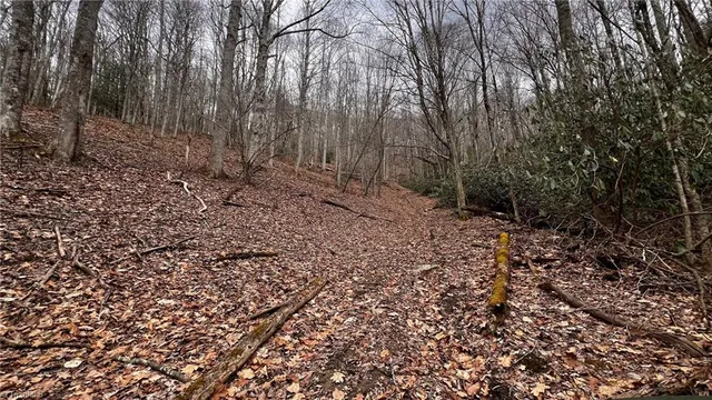 $875,000 | 1266 Flatwoods School Road, Creston, NC 28615