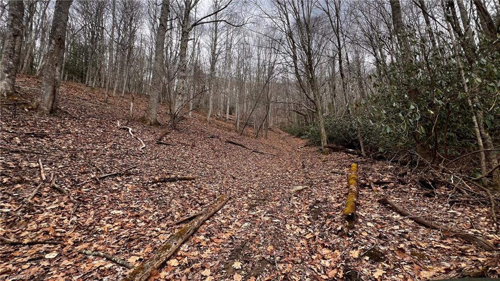 1266 Flatwoods School Road Creston, NC 28615 - Photo 40 of 41