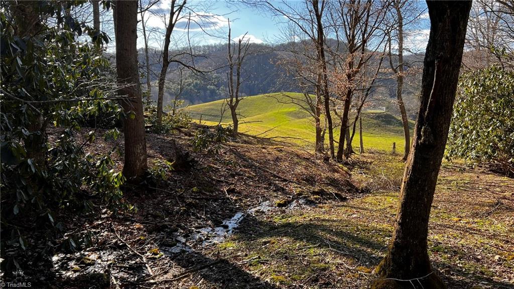 1266 Flatwoods School Road Creston, NC 28615 - Photo 4 of 41