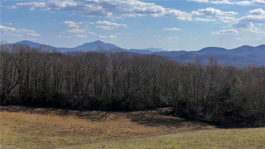 1266 Flatwoods School Road Creston, NC 28615 - Photo 5 of 41