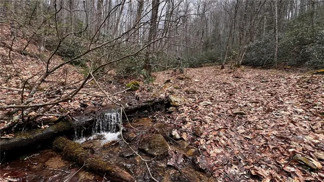 $875,000 | 1266 Flatwoods School Road, Creston, NC 28615