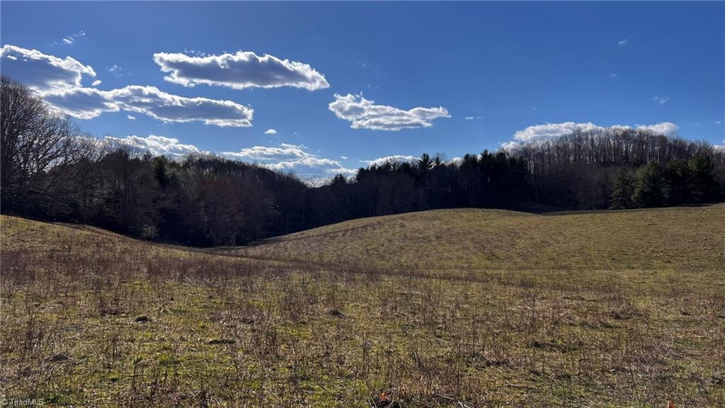 1266 Flatwoods School Road Creston, NC 28615 - Photo 7 of 41