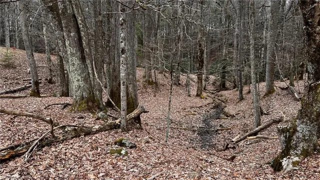 $875,000 | 1266 Flatwoods School Road, Creston, NC 28615