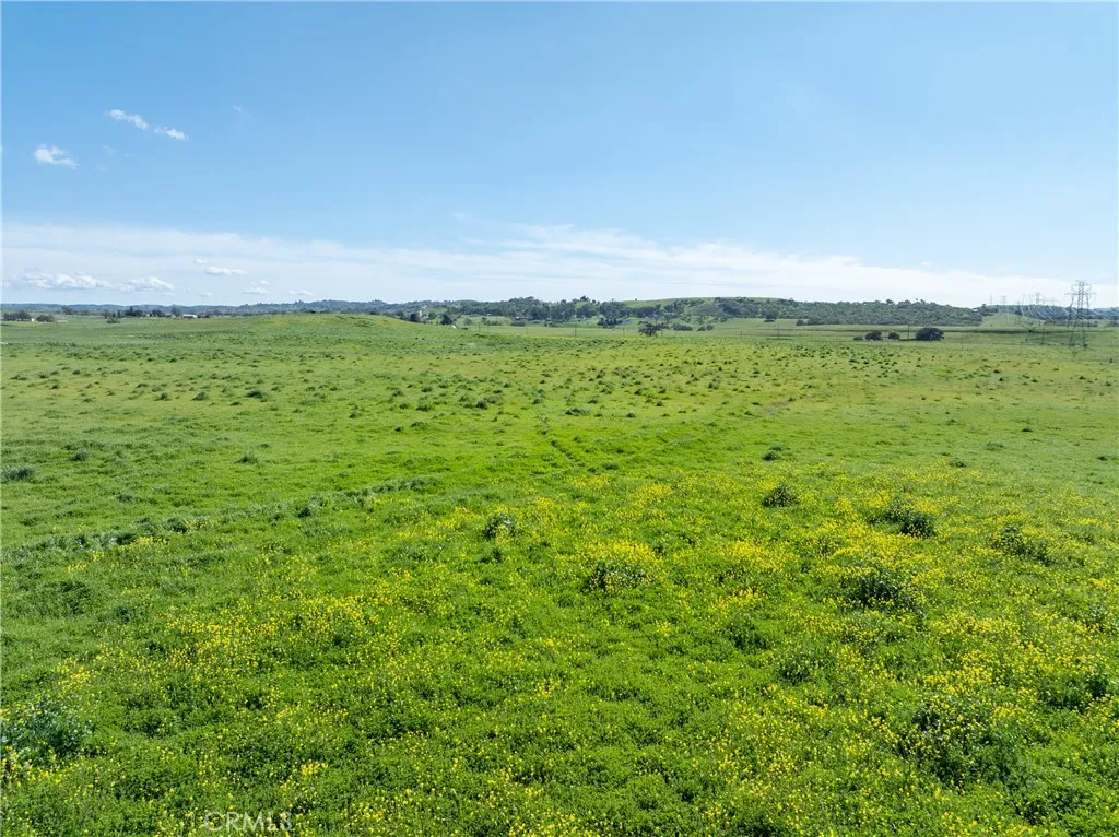 0 Creston Paso Robles, CA 93446 - Photo 16 of 29 a view of a green field with lots of green space