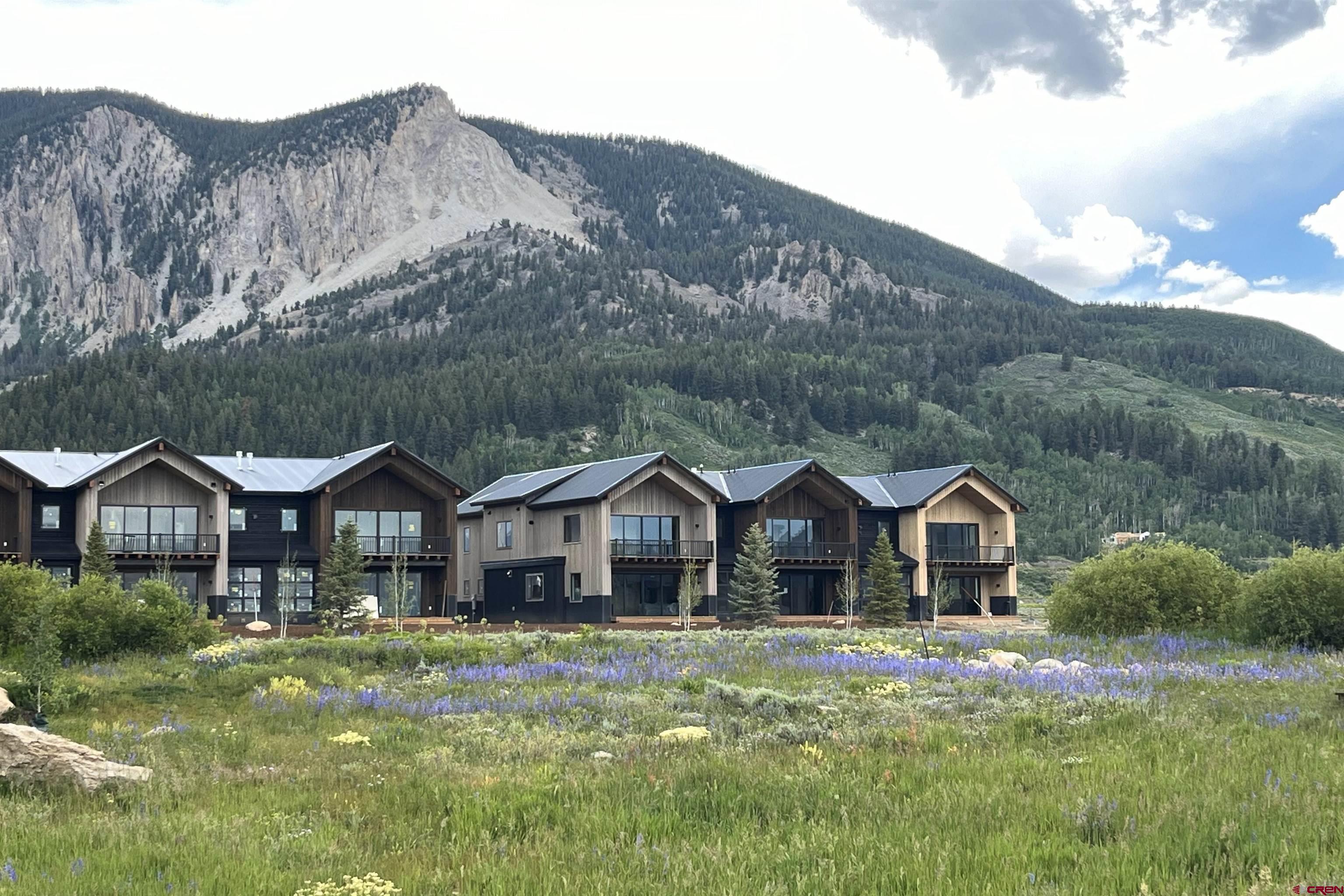 180 Elk Valley Road, Unit 109 Crested Butte, CO 81224 - Photo 34 of 36 a front view of house with yard and green space