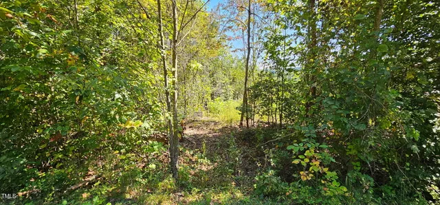 a view of a yard with plants and tree