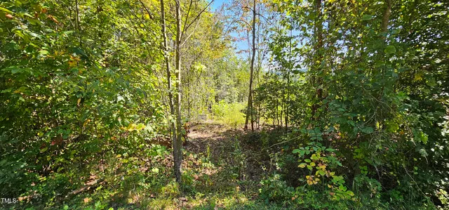 a view of a yard with a tree