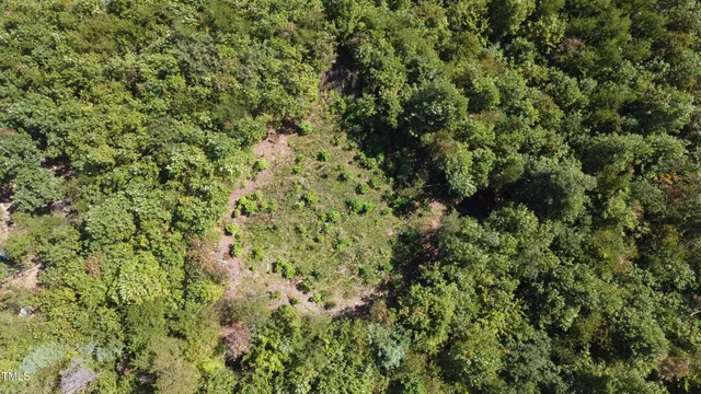 a view of a lake with a tree