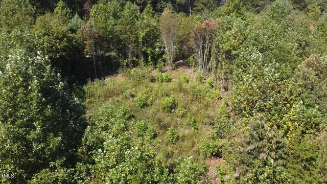 $47,000 | Lot 56 Billings Hill, Traphill, NC 28685