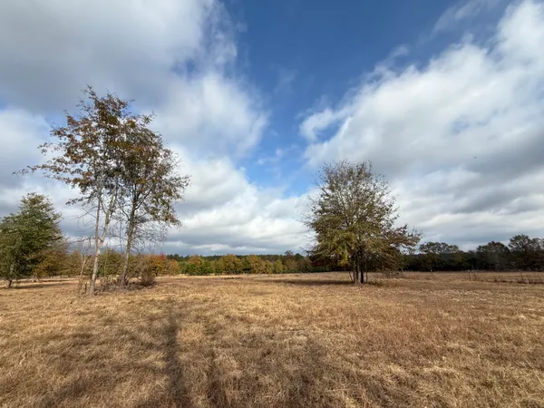 $120,000 | 0 Sc-39 Highway, Williston, SC 29853