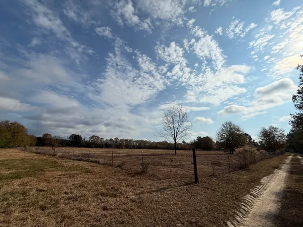 $120,000 | 0 Sc-39 Highway, Williston, SC 29853