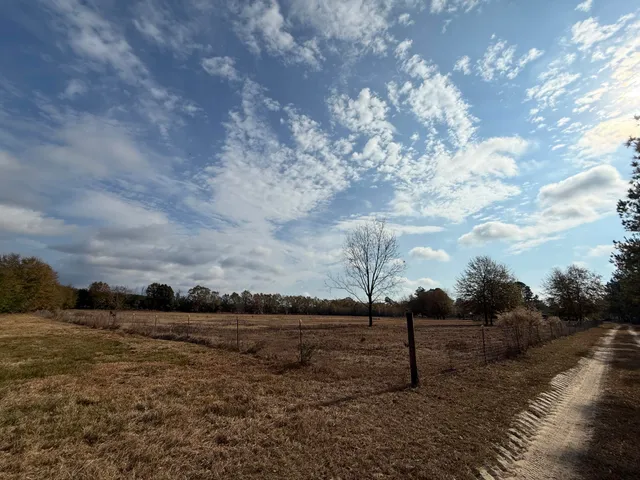 $120,000 | 0 Sc-39 Highway, Williston, SC 29853