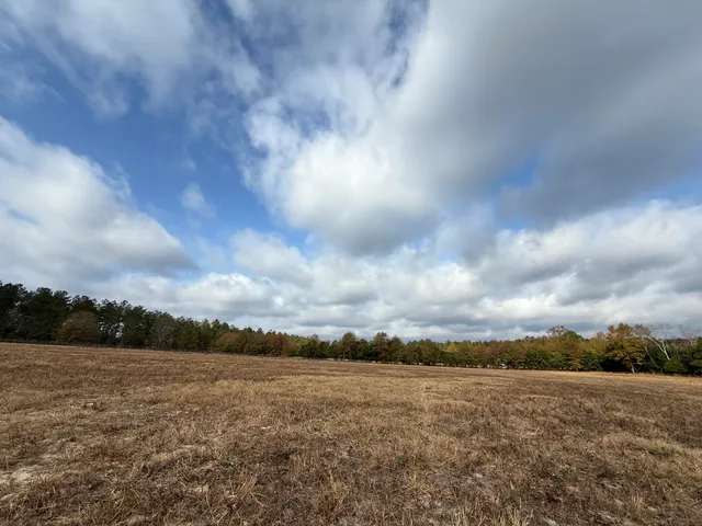 $120,000 | 0 Sc-39 Highway, Williston, SC 29853