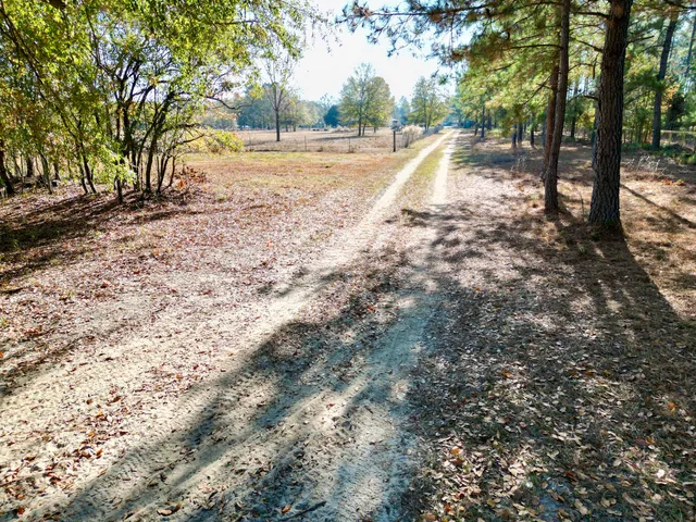 $120,000 | 0 Sc-39 Highway, Williston, SC 29853