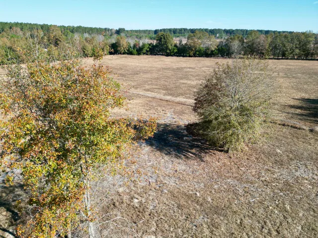 $120,000 | 0 Sc-39 Highway, Williston, SC 29853