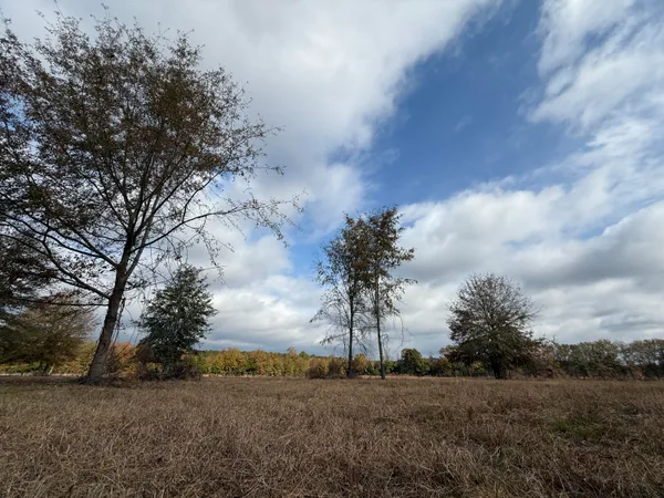 $120,000 | 0 Sc-39 Highway, Williston, SC 29853