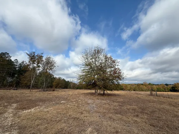 $120,000 | 0 Sc-39 Highway, Williston, SC 29853