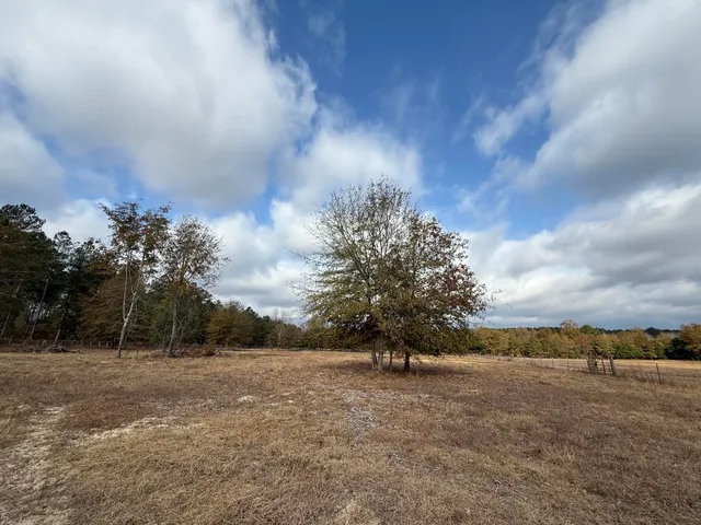 $120,000 | 0 Sc-39 Highway, Williston, SC 29853