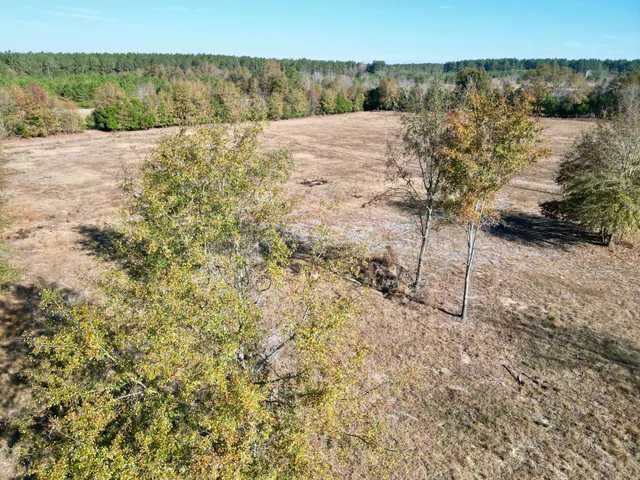 $120,000 | 0 Sc-39 Highway, Williston, SC 29853