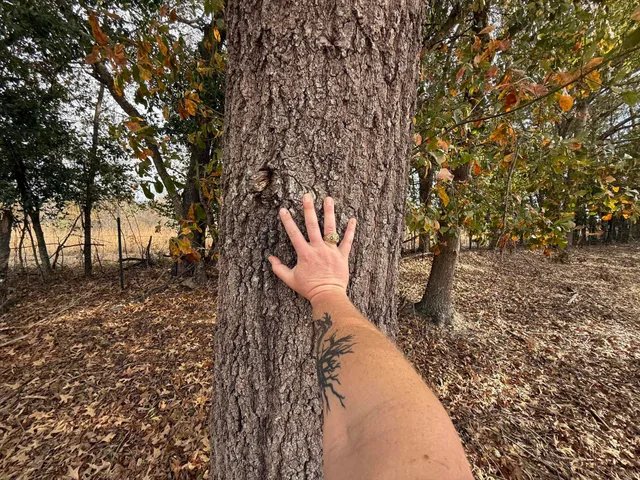 $120,000 | 0 Sc-39 Highway, Williston, SC 29853