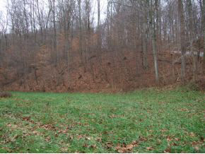 0 North Miller Road Bloomington, IN 47408 - Photo 3 of 4