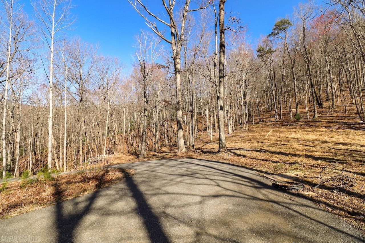 0 Brammer Spur Road Woolwine, VA 24185 - Photo 3 of 39 Gallery Image 3