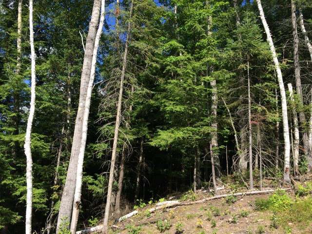 1 Drifting Waters Trail Rhinelander, WI 54501 - Photo 17 of 19 Gallery Image 17