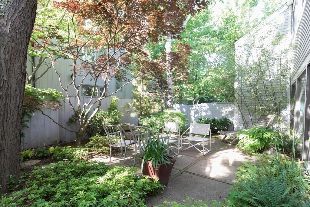 64 Grozier Road, Unit 64 Cambridge, MA 02138 - Photo 19 of 22 Gallery Image 19