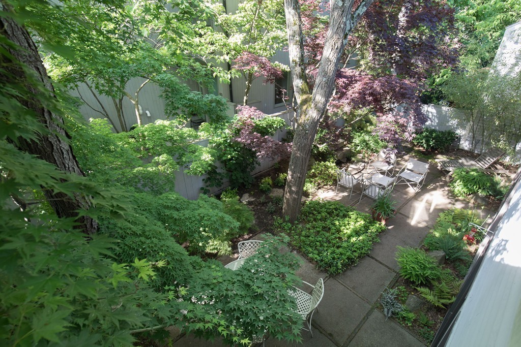 64 Grozier Road, Unit 64 Cambridge, MA 02138 - Photo 21 of 22 Gallery Image 21