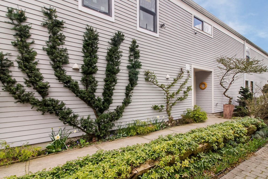 64 Grozier Road, Unit 64 Cambridge, MA 02138 - Photo 22 of 22 Gallery Image 22