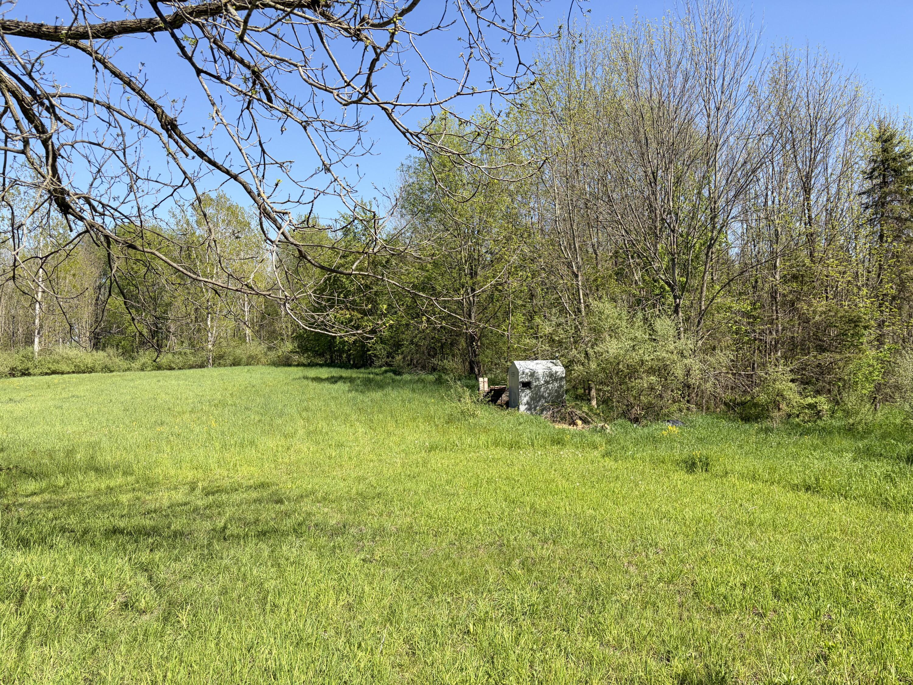 2665 East Wilson Road Custer, MI 49405 - Photo 16 of 19 2665 E Wilson Rd