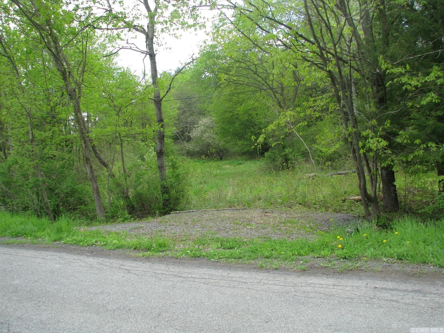 0 Irving Road Surprise, NY 12176 - Photo 1 of 5 Photo 1