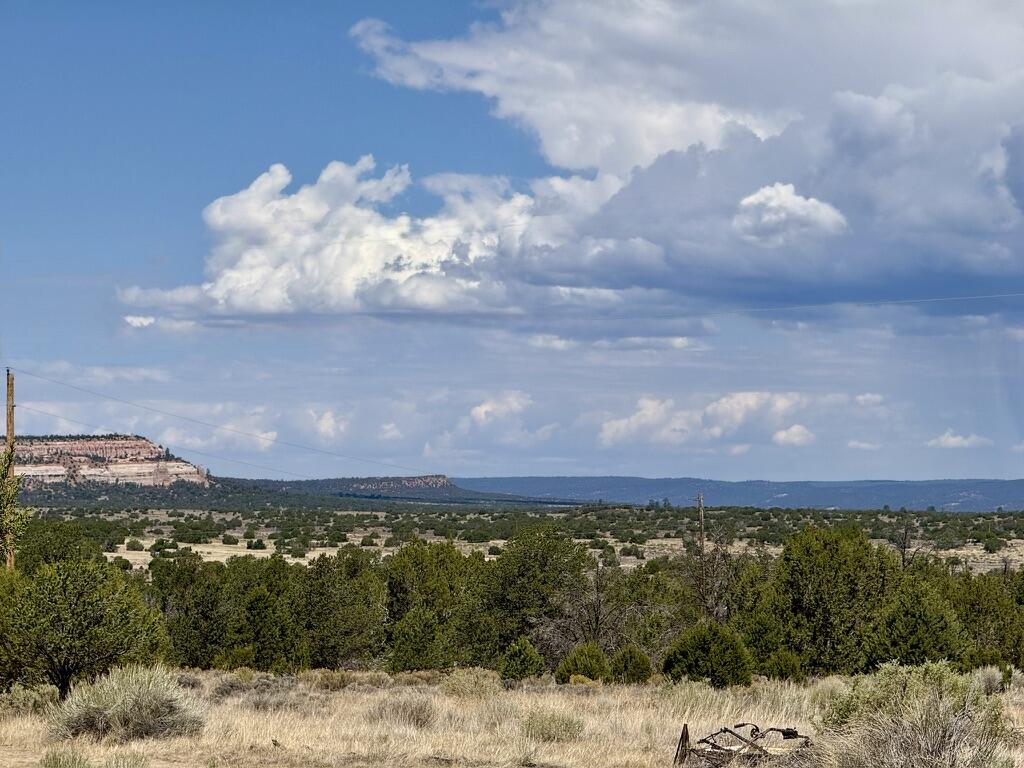53 Ice Caves Road Ramah, NM 87357 - Photo 12 of 16 Gallery Image 12