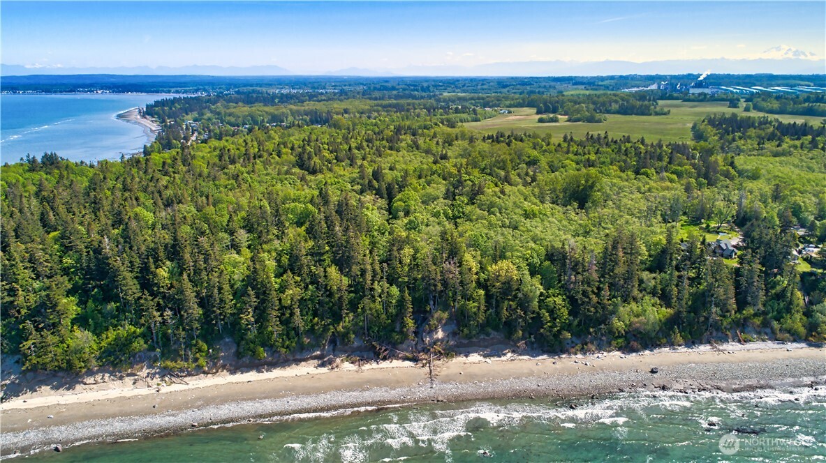 12 Koehn Road Blaine, WA 98230 - Photo 1 of 22 a view of a yard with an outdoor space